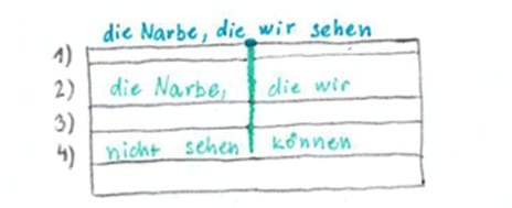 haut schichten narbe