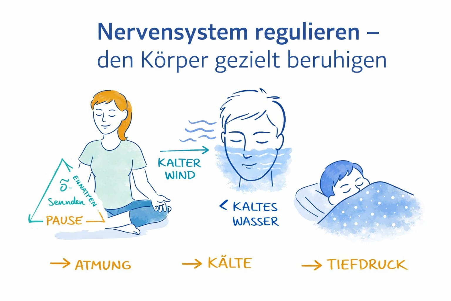 alsa rehab physiotherapie in solothurn - Wie wr den Nervensystem regulieren – den Körper gezielt beruhigen